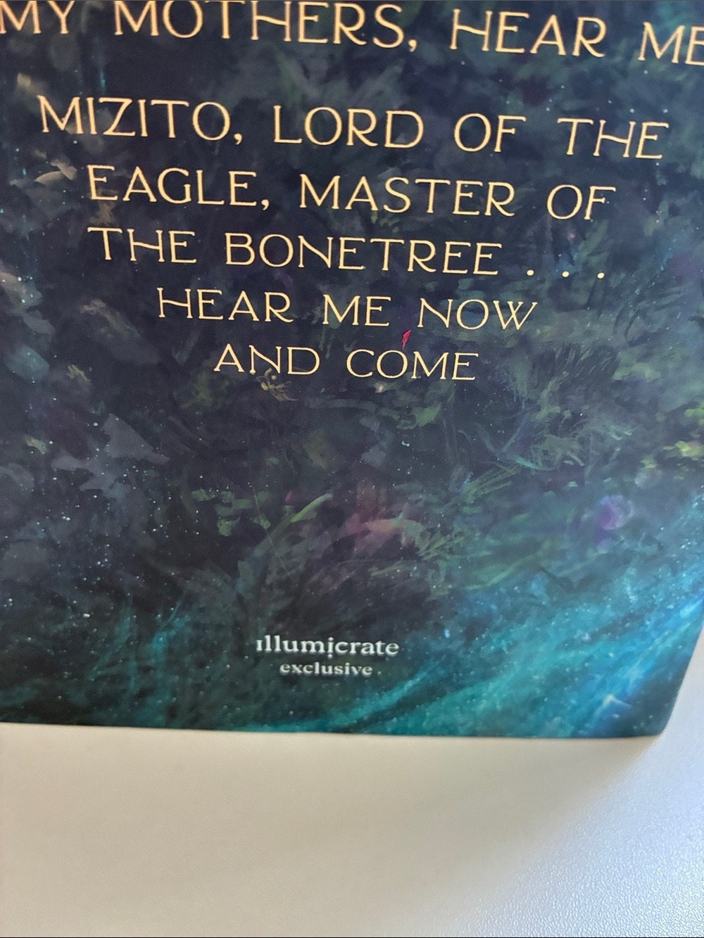 A Song of Legends Lost by M. H. Ayinde - Fantasy Hardcover illumicrate edition - Picture 3 of 6